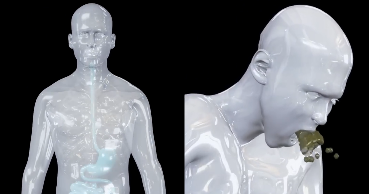 Unsettling Simulation Reveals What Really Happens Inside Your Body When You Vomit &ndash; And People Are Shocked