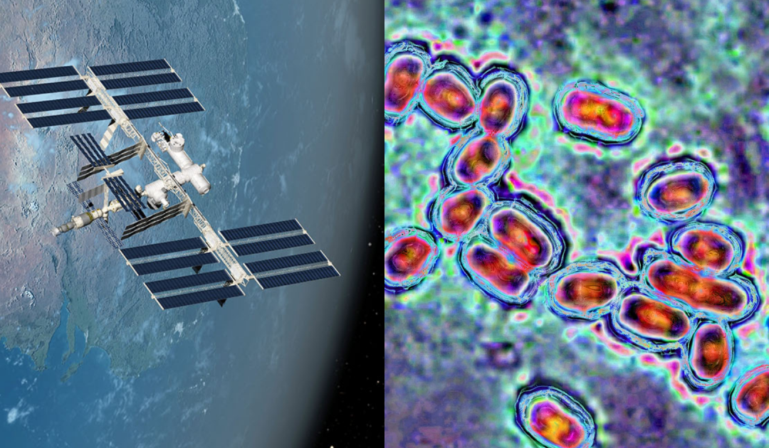 Bacteria On The International Space Station Has Mutated Into Something Never Seen Before On Earth