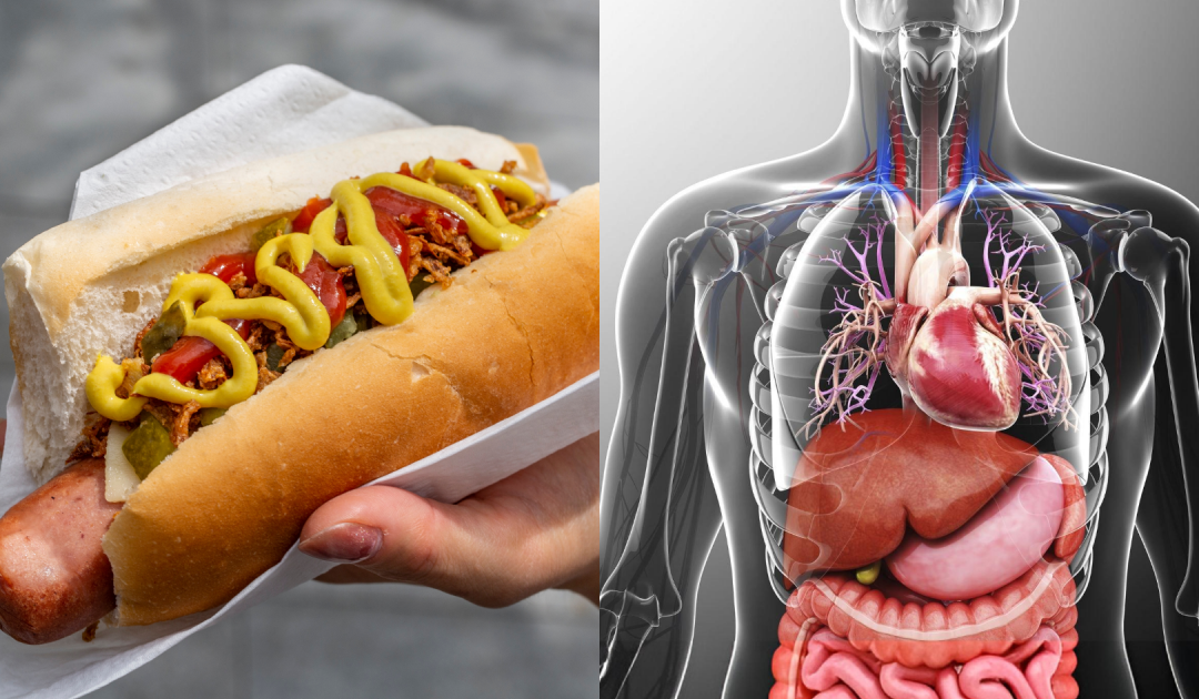 Scientists Say Eating A Hot Dog Could Cut 36 Minutes Off Your Life