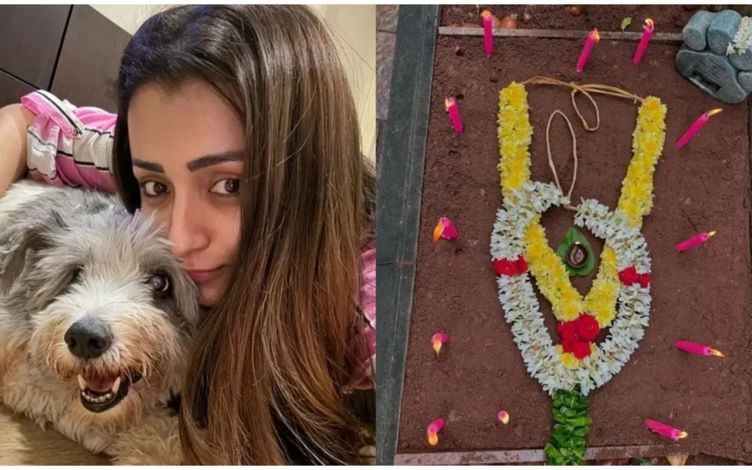 ‘In A State Of Shock’: Trisha Krishnan Loses Her Pet Dog Zorro On Christmas Morning