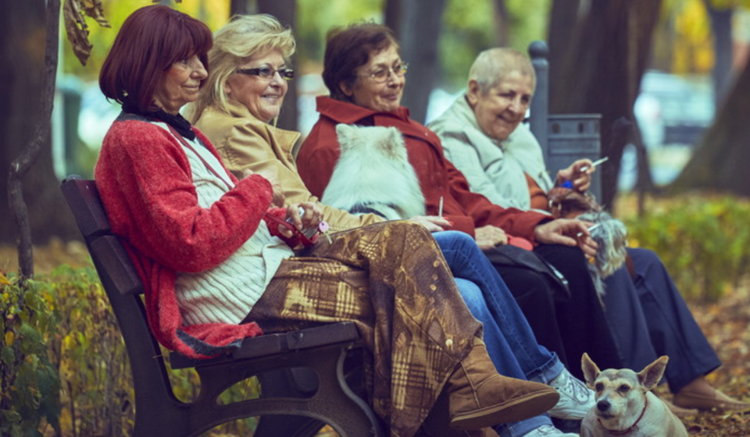 Poor Nurse Cares For 4 Elderly Sisters, Discovers Their Will After They All Pass Away