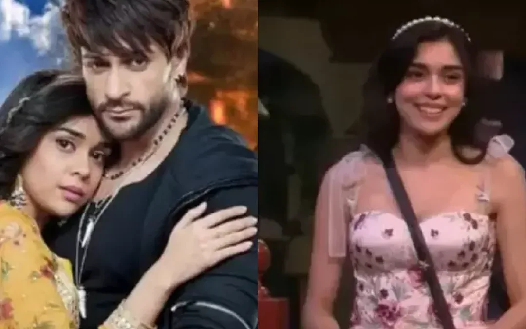 ‘Ladki Ko Badnam Mat Karo’, Shaleen Bhanot Opened Up Relationship Rumors With Bigg Boss 18 Contestant Eisha Singh