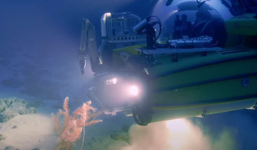 Chilling Discovery At The Bottom Of The Red Sea Leaves Scientists Stunned